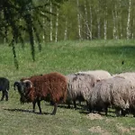 Hotel Nad Jeziorem 3*