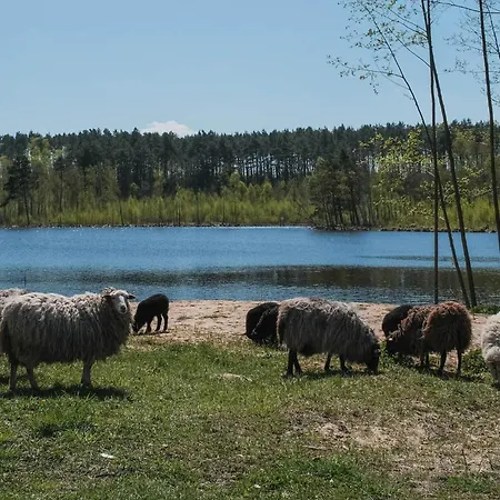 Hotel Nad Jeziorem Pestkownica