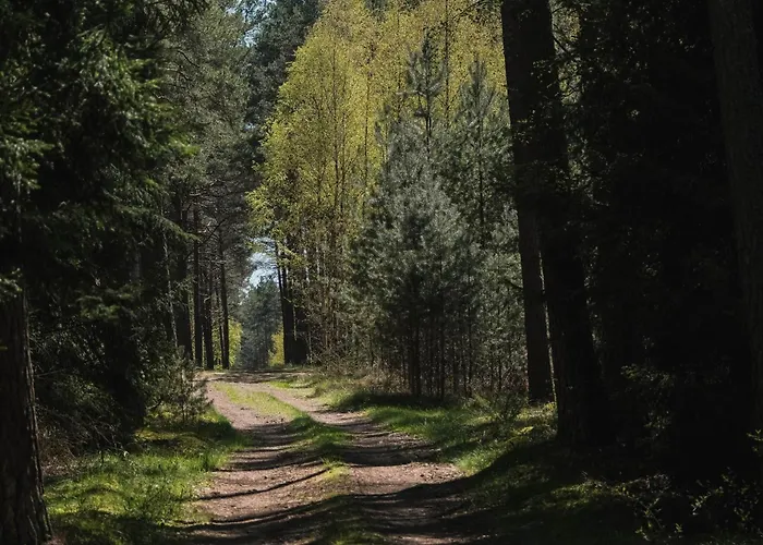 Nad Jeziorem 3* Pestkownica