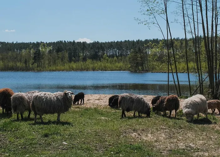 Hotel Nad Jeziorem Pestkownica