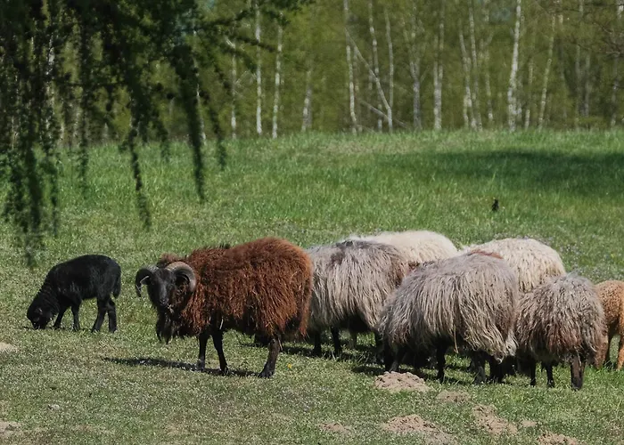 Hotel Nad Jeziorem 3*