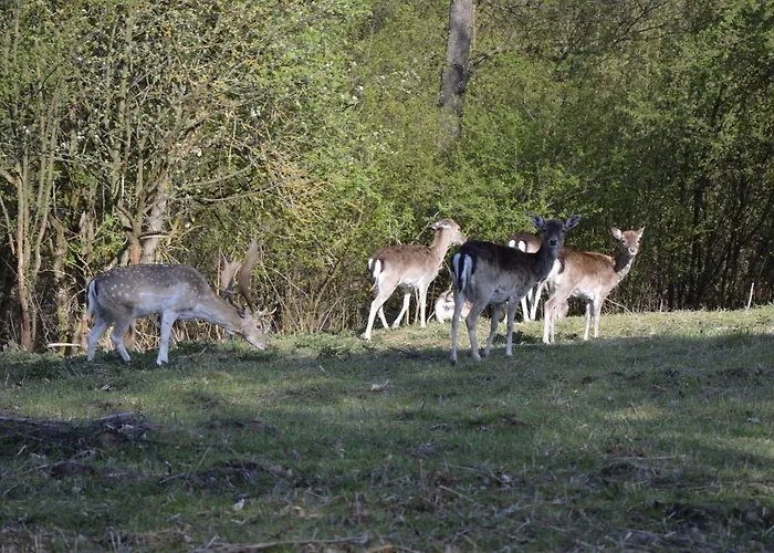Hotel Nad Jeziorem 3*